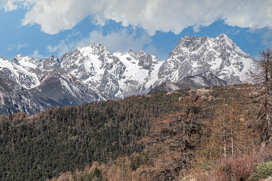 白马雪山