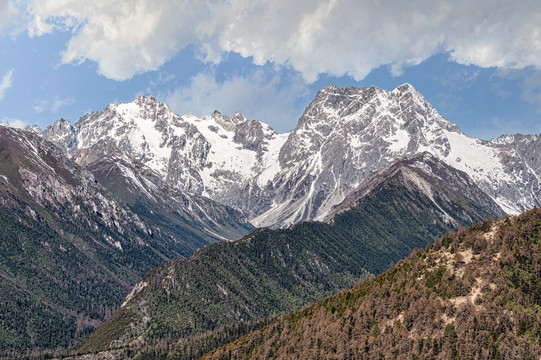 白马雪山