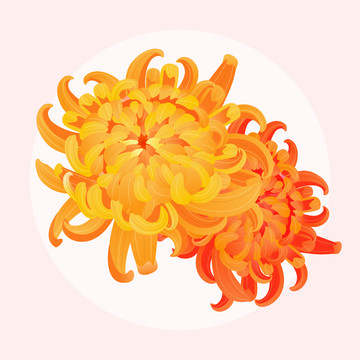 重陽(yáng)節(jié)海報(bào)登高望遠(yuǎn)秋游戶外菊花