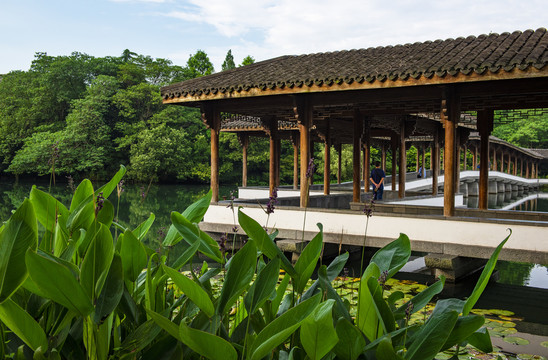 浴鹄湾景区