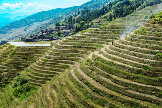 龙脊梯田