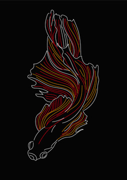 斗魚線稿