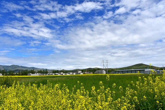 乡村风光