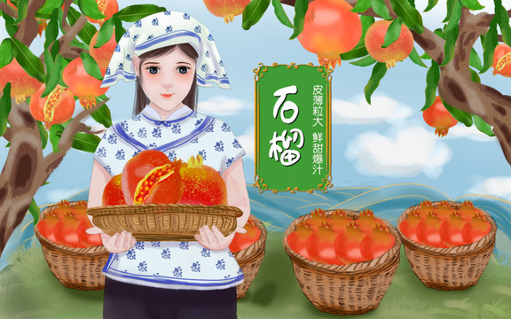 石榴包裝插畫