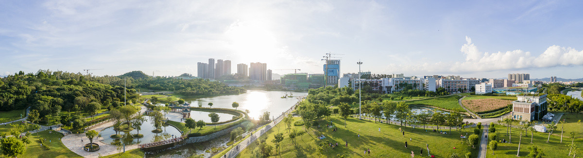 深圳龙岗湿地公园