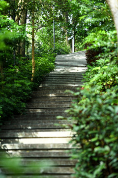 陡峭的登山道