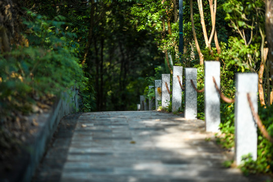 阳光洒落在登山道上