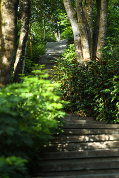 宁静的登山道