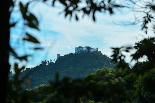 淘金山远眺深圳求水山