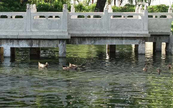 石桥流水