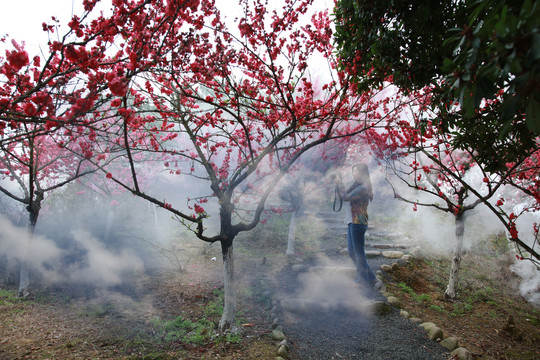 庐山西海桃花岛