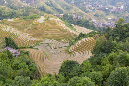 龙脊梯田