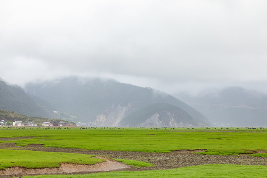 香格里拉纳帕海