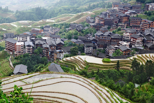 龙脊梯田