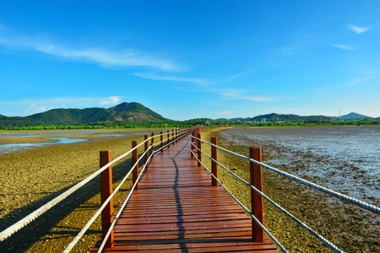 湿地公园风景