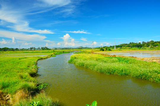 田野溪河