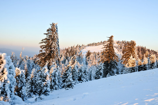 树积雪大雪夕阳