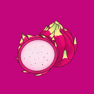 火龍果插畫