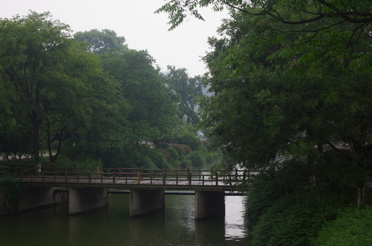 玄武湖雨中的桥