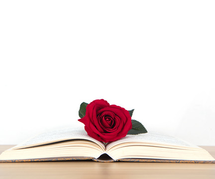 翻开的书本和一支红玫瑰