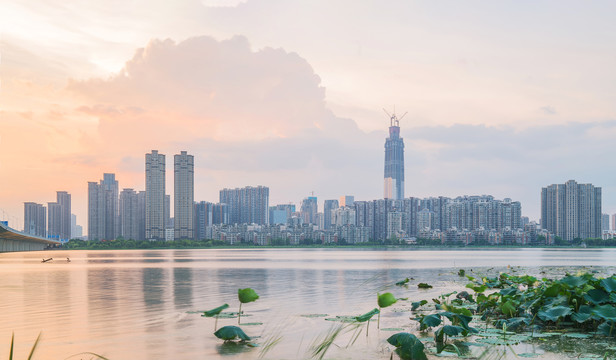 武汉沙湖风光和城市建筑天际线