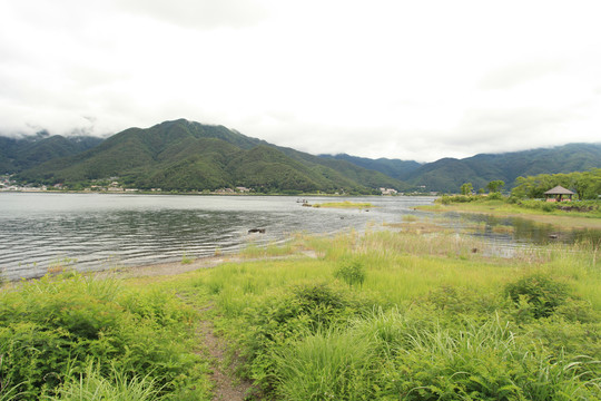 日本河口湖大石公园