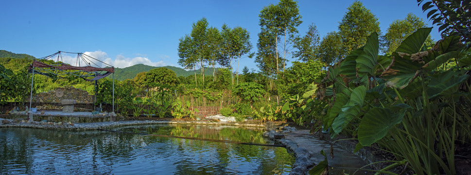 鱼塘小院