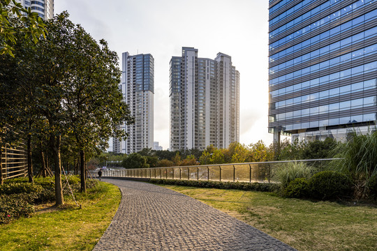 上海浦东金融中心花园和建筑