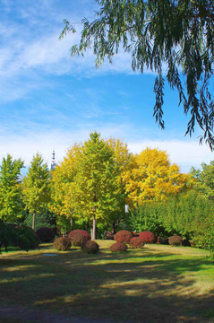 北京莲花池公园