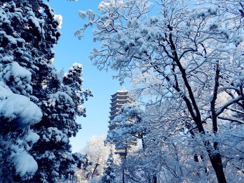 雪中的北京大学博雅塔