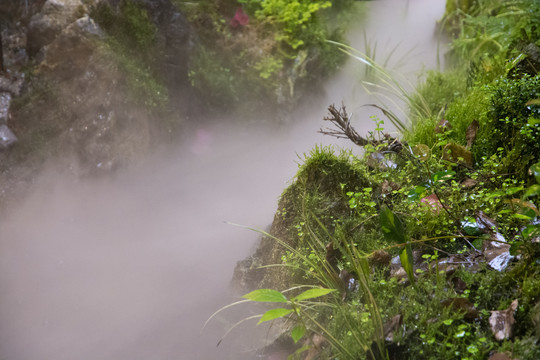 溪流绿岸水雾风景