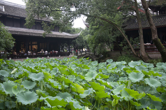 成都武侯祠古建筑景观