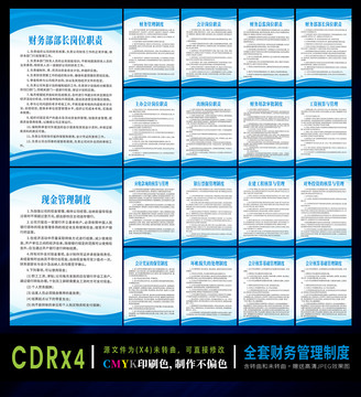 全套財務(wù)管理制度