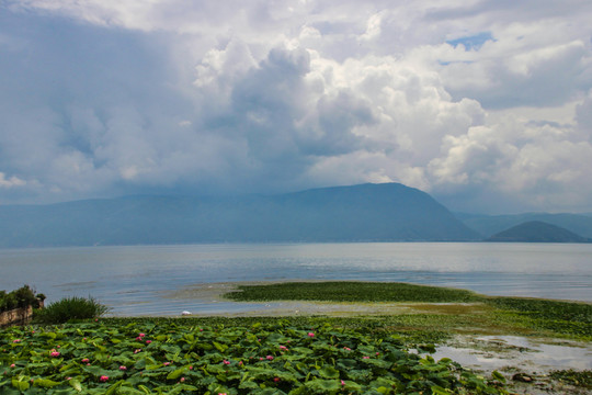 洱海