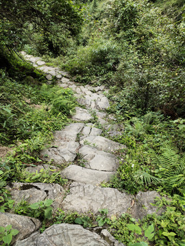 崎岖的山路