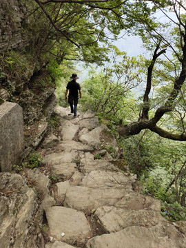 深山老林中的下山路