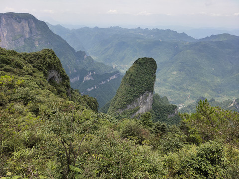 绿植与群山