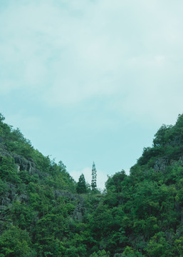 万峰林的田野