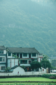 万峰林的田野