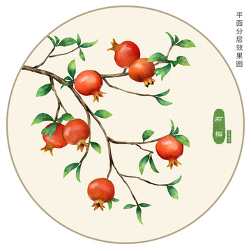 手繪石榴插畫