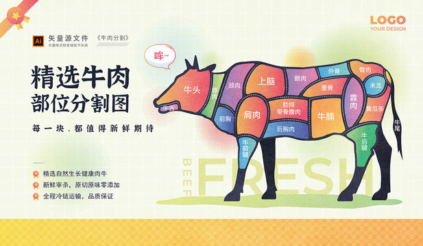 牛肉分割圖