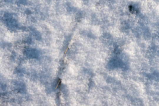 地面上的白雪背景