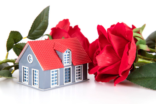 白背景上的玫瑰花和小房子模型