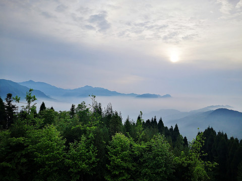 高山云海