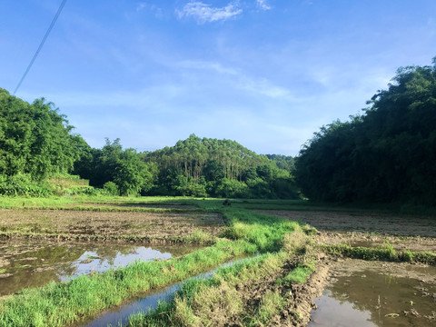 白鹤塘农田原生态景色