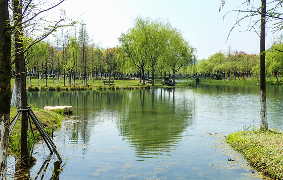 暨阳湖