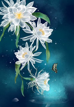 手繪曇花插畫