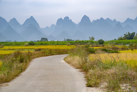 乡村风景乡村小路