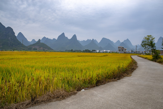 乡村风景乡村路