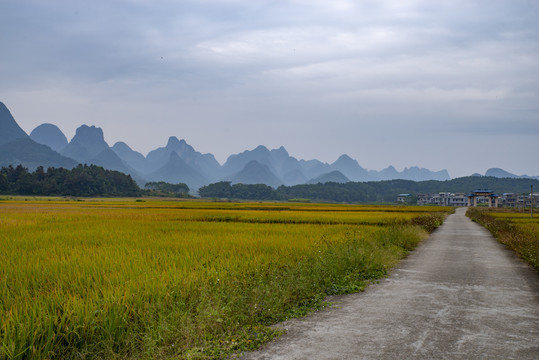 自然风景乡村田园